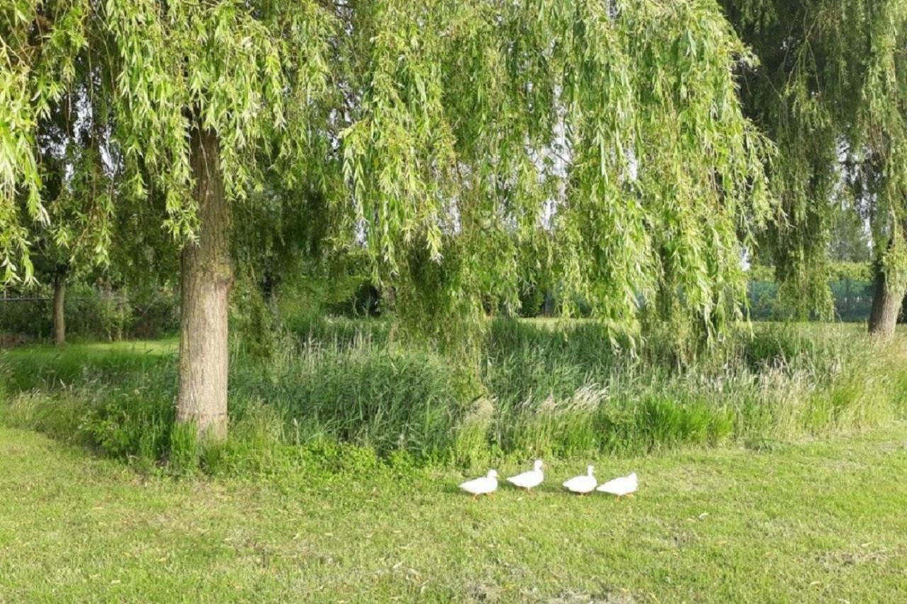 Vakantiewoning Goedgelegen Mb01 *
